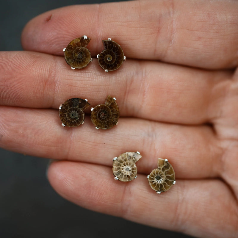 Ammonite prong | Silver Stud Earrings