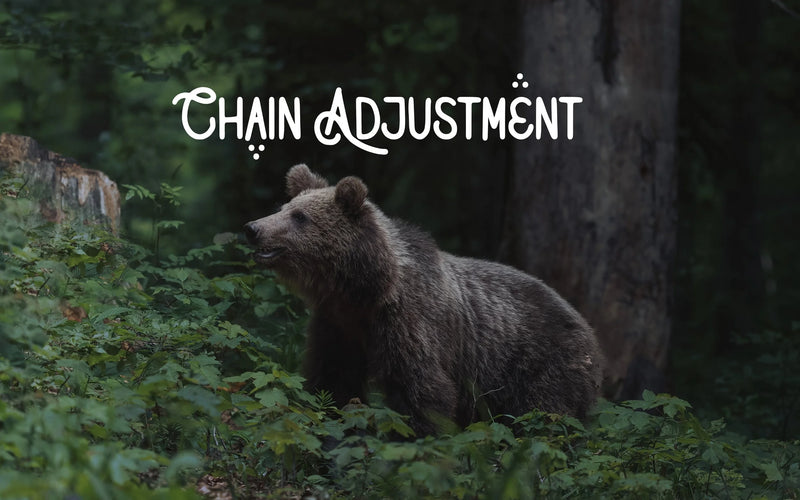 Custom Chain Adjustment