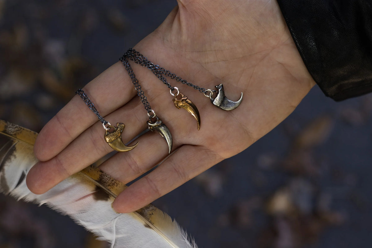 Lynx claw close-up
