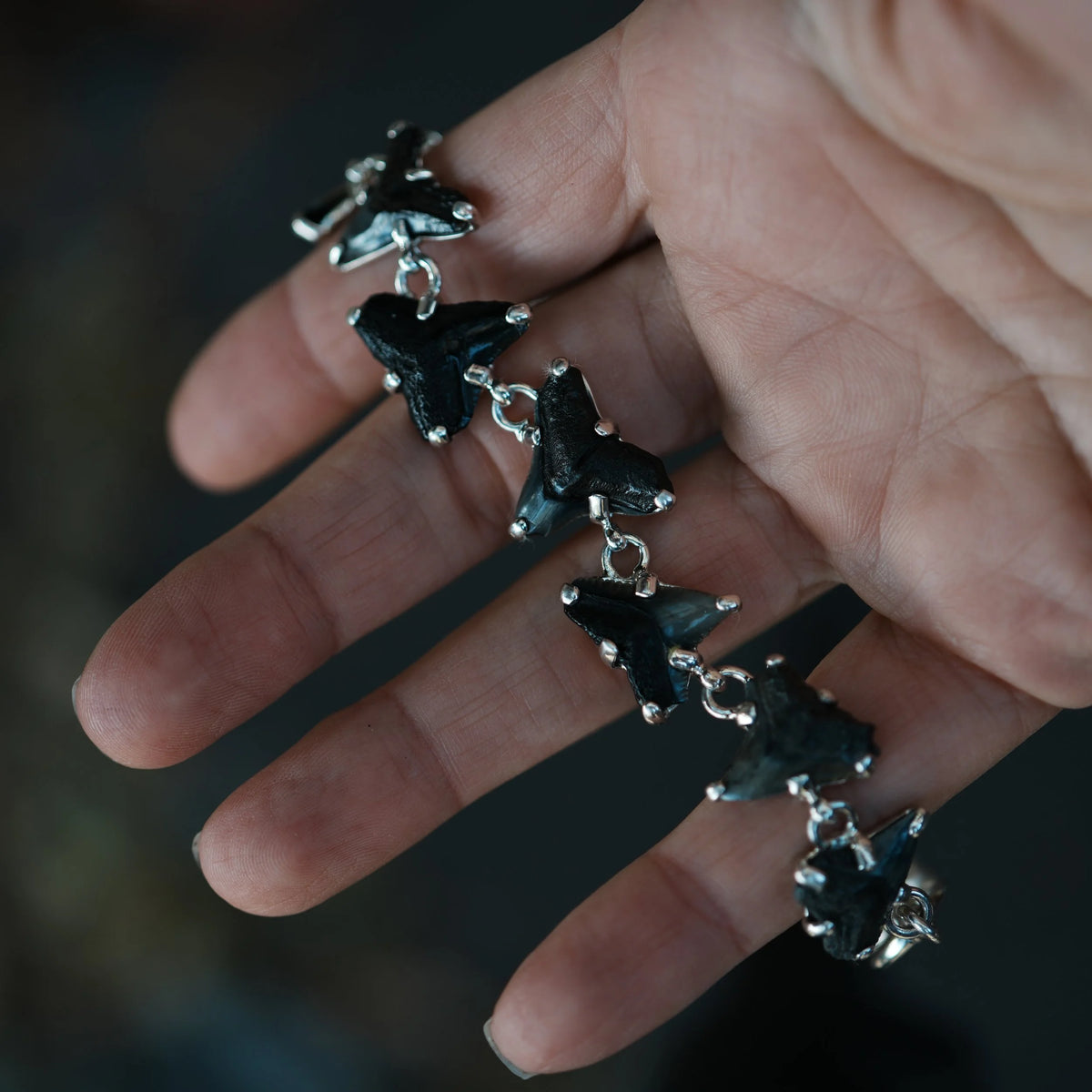 Savage Tides - Fossilized Shark Tooth Bracelet, main view
