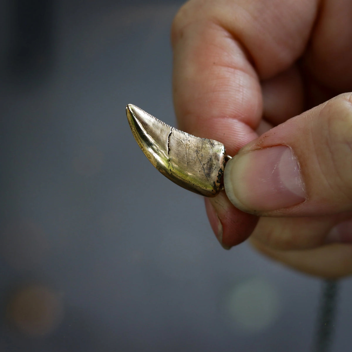 1 Left! Tyrannosaur Tooth Necklace - Bronze or Silver, detail view