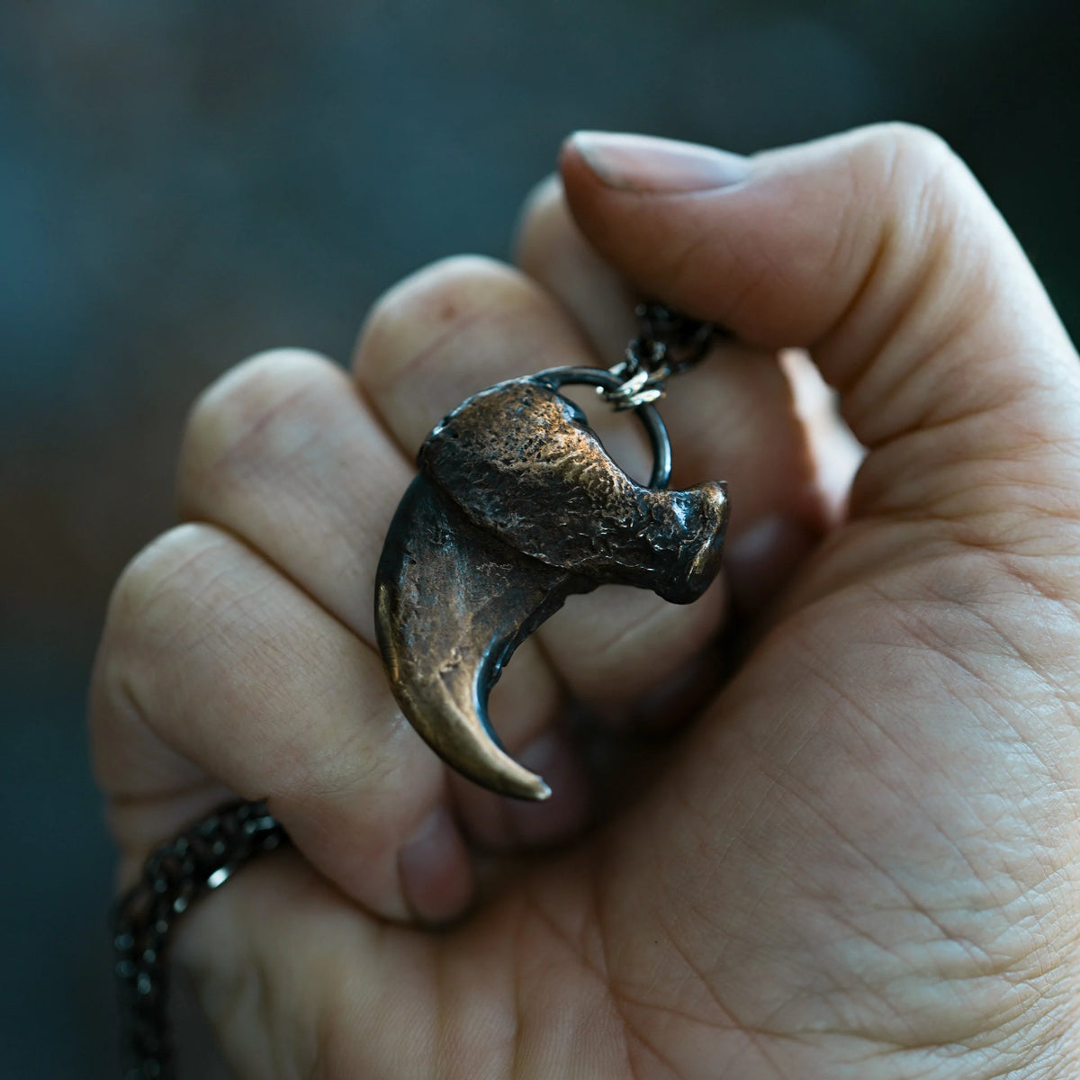 Tiger claw bronze detail