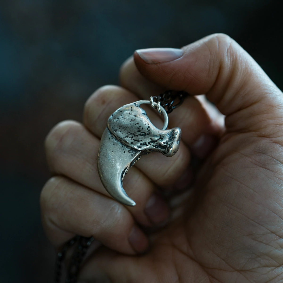 The Tiger - SILVER Claw Necklace, alternate view