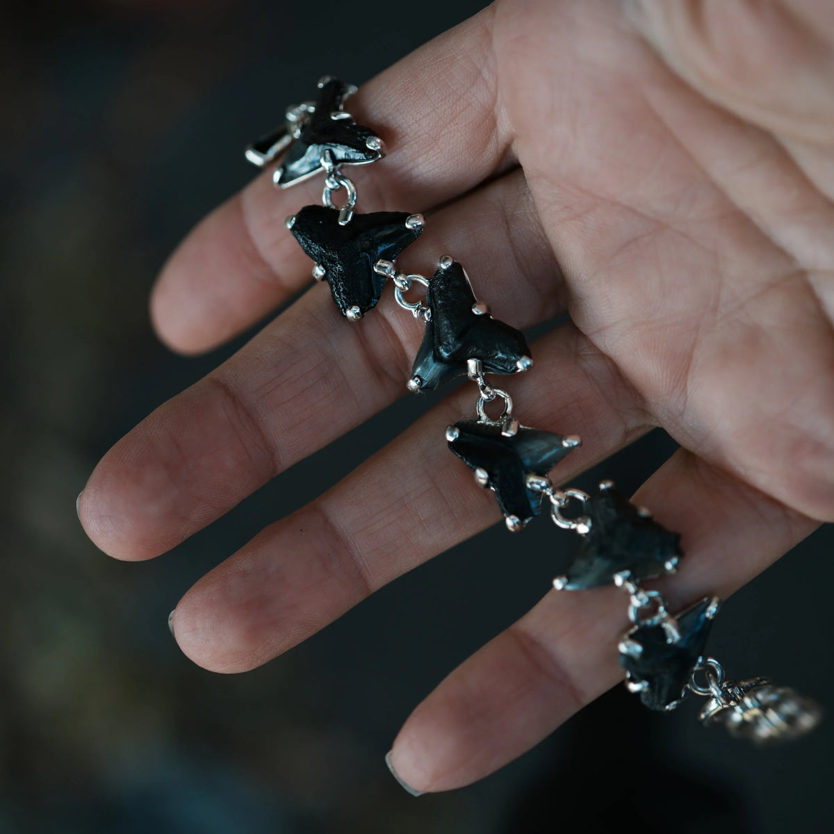 Savage Tides - Fossilized Shark Tooth Bracelet, alternate view