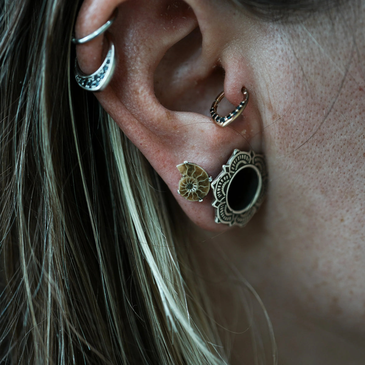 Ammonite prong - Silver Stud Earrings, detail view