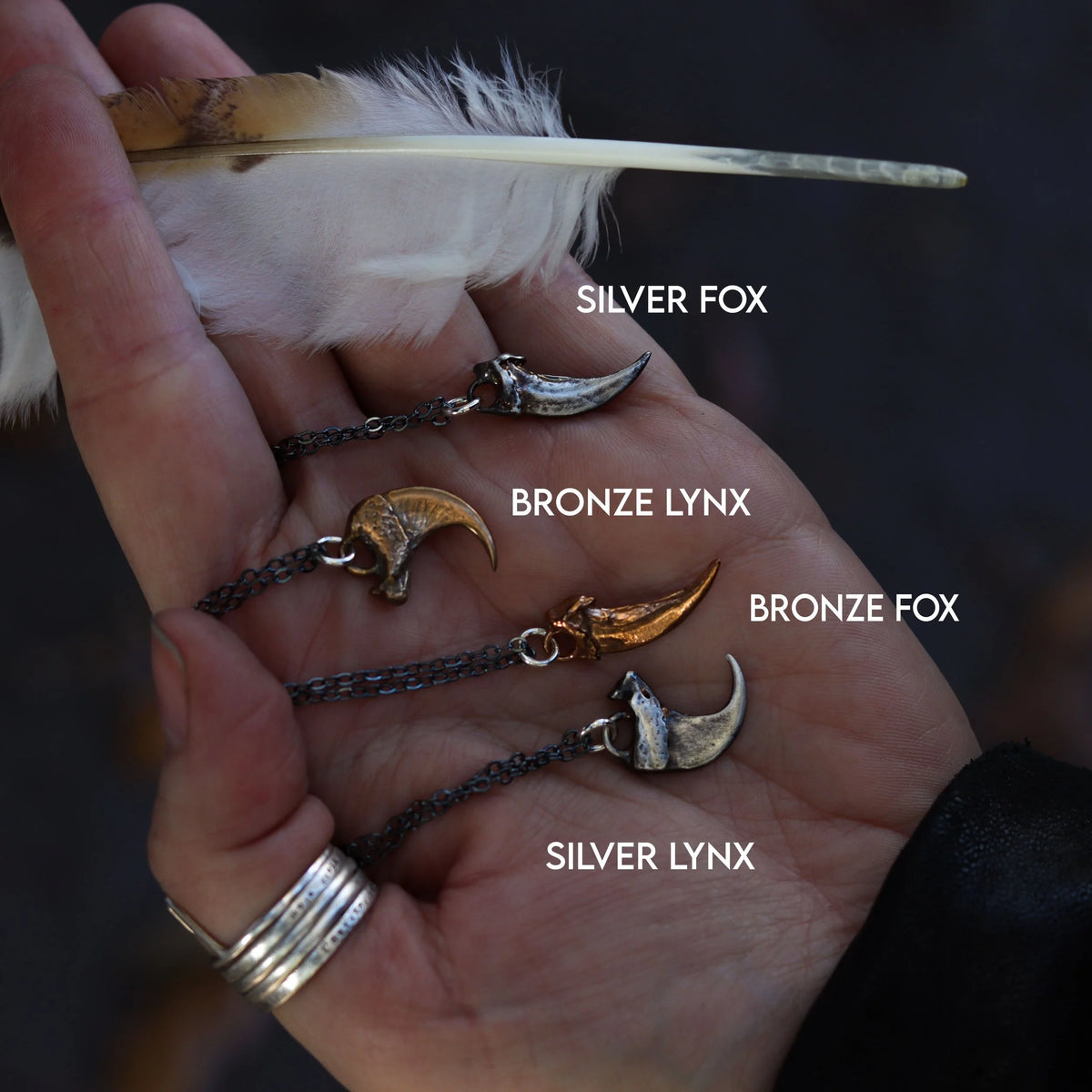 Claw shapes detail