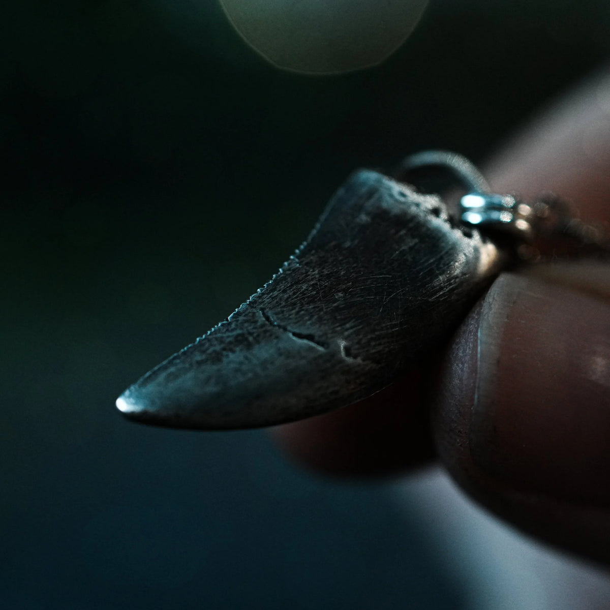 1 Left! Tyrannosaur Tooth Necklace - Bronze or Silver, side view