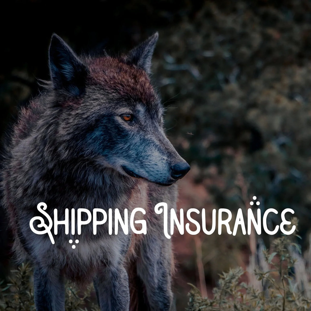 Shipping Insurance