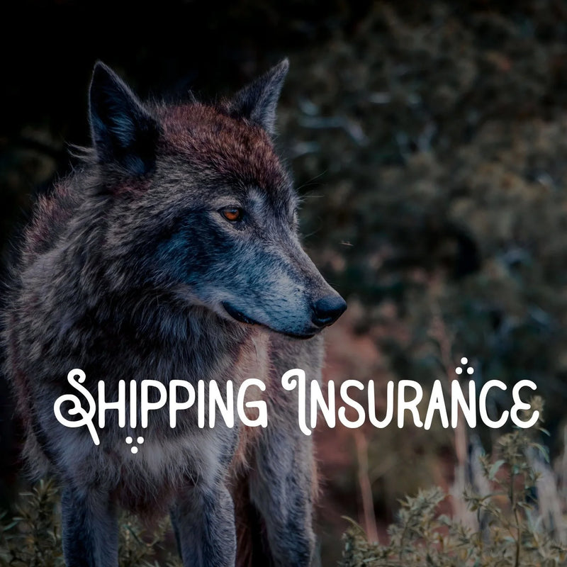 Shipping Insurance