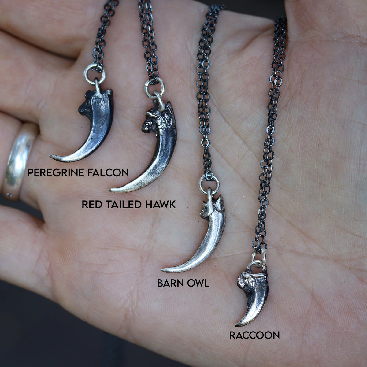 Talon shapes detail